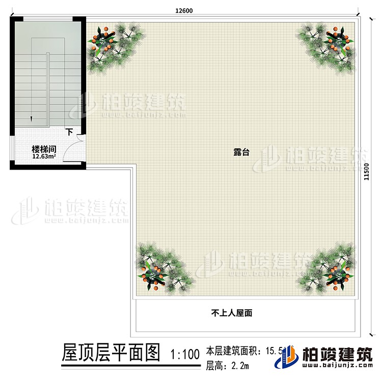 房頂：樓梯間、露臺(tái)
